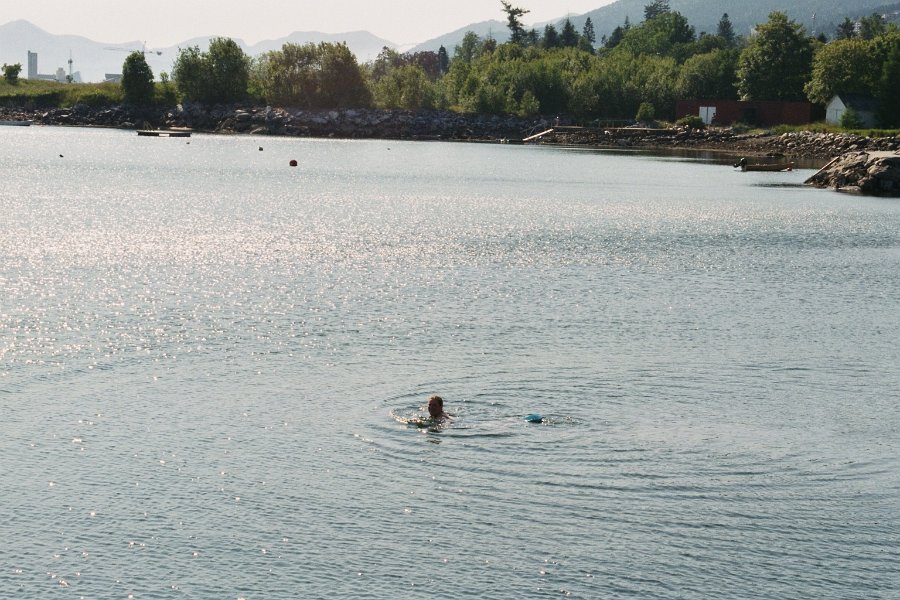 2003061228 molde emy zwemmen